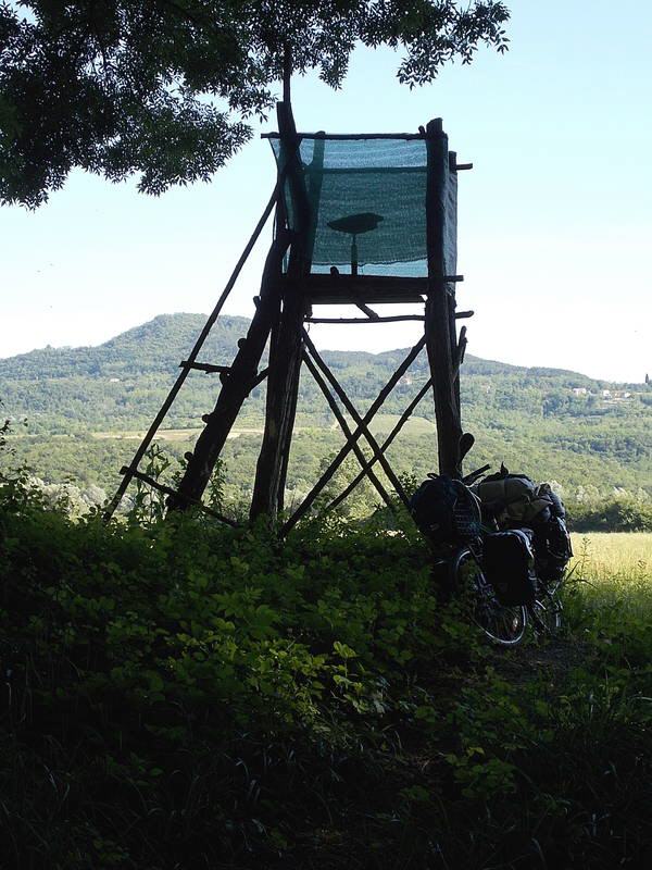 Motovun - Istrien